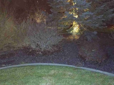 Leaf Removal service in Everett, 98201