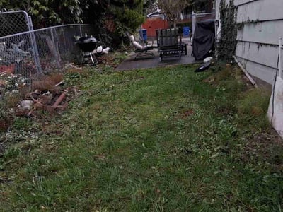 Leaf Removal service in Everett, 98201