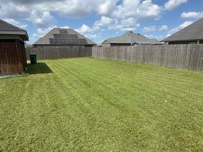 Lawn Care service in Thibodaux, 70301