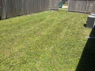 Lawn Care service in Thibodaux, 70301