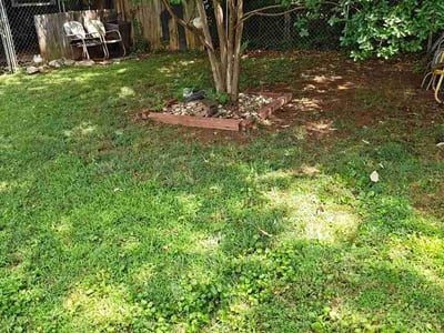 Leaf Removal service in Moncks Corner, 29461