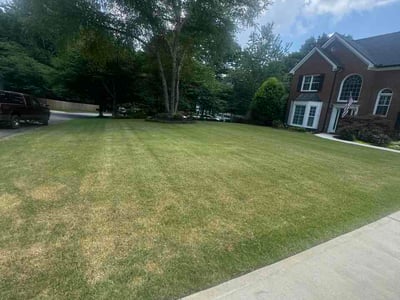 Lawn Care service in Hartsville, 29550