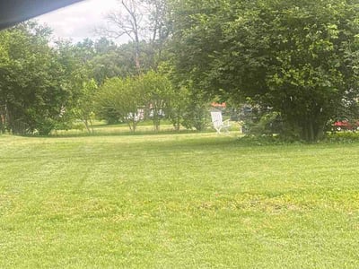 Lawn Care service in Richland, 99352