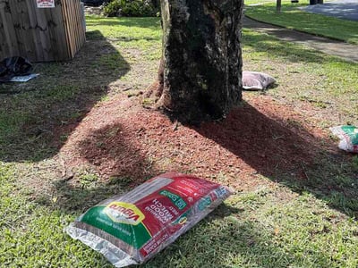 Leaf Removal service in DeLand, 32720