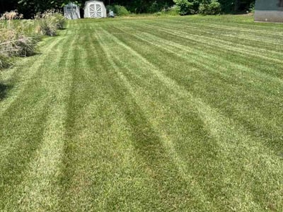 Lawn Care service in Tolland, 06084