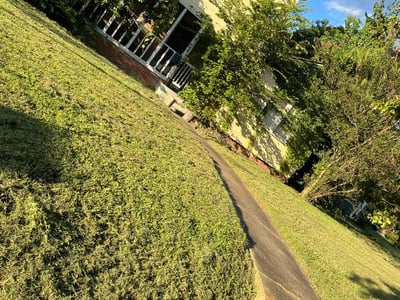 Lawn Care service in Tolland, 06084