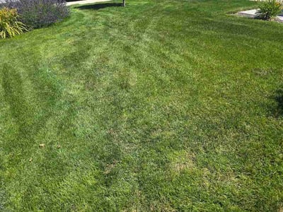 Lawn Care service in Caldwell, 83605