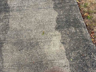 Leaf Removal service in Beaverton, 97005