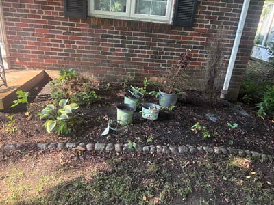 Lawn Care service in Charleston, 25301