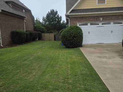 Lawn Care service in Columbus, 31901