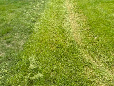 Lawn Care service in Harper Woods, 48225