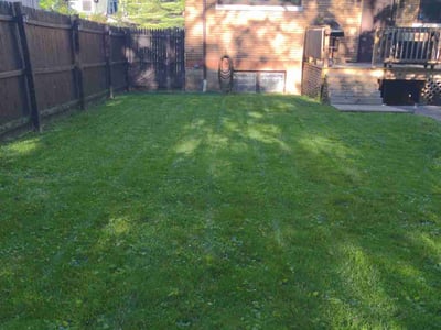 Lawn Care service in Charleston, 25301
