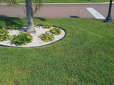 Lawn Care service in Orange City, 32763
