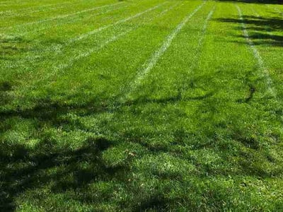 Lawn Care service in Trenton, 48183