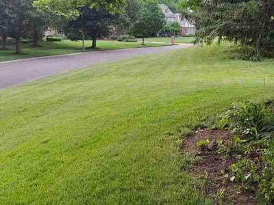 Lawn Care service in Geneva, 60134