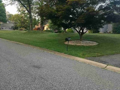 Lawn Care service in Claymont, 19703