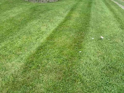 Lawn Care service in Erlanger, 41018