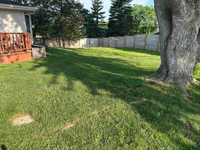 Lawn Care service in Kaukauna, 54130