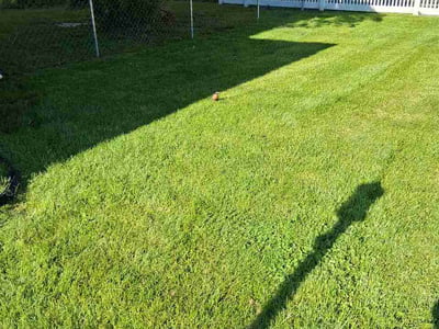 Lawn Care service in Valparaiso, 46383