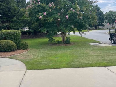 Lawn Care service in Camden, 29020