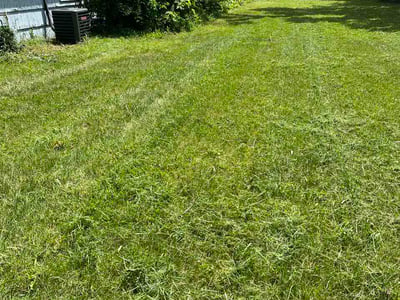 Lawn Care service in Chesterton, 46304
