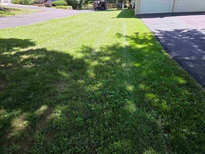 Lawn Care service in Charles Town, 25414