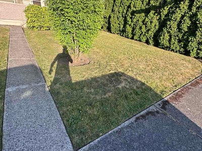 Lawn Care service in Graham, 98338