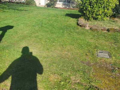 Lawn Care service in Graham, 98338