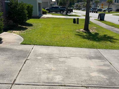 Lawn Care service in North Charleston, 29406