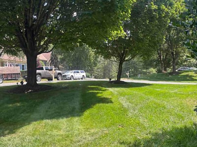 Lawn Care service in Centreville, 20120