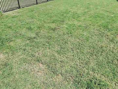 Lawn Care service in Aubrey, 76227