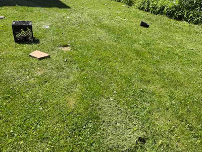 Lawn Care service in Downers Grove, 60515