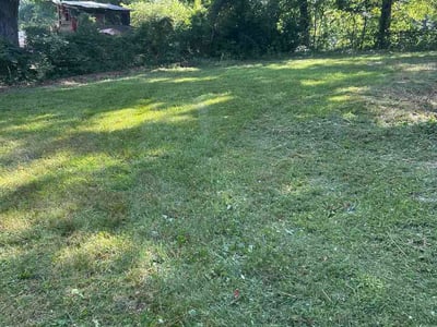 Lawn Care service in Rossville, 30741