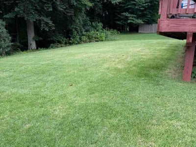 Lawn Care service in Oxon Hill, 20745