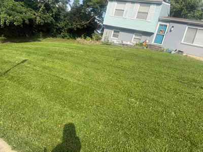 Lawn Care service in Independence, 41051