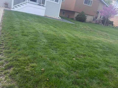 Lawn Care service in Wood Dale, 60191