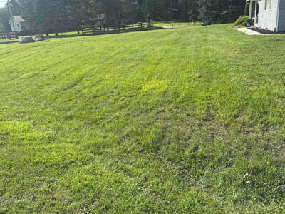 Lawn Care service in Oxford, 48371