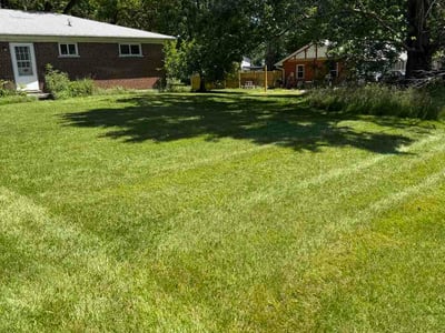 Lawn Care service in Lebanon, 45036