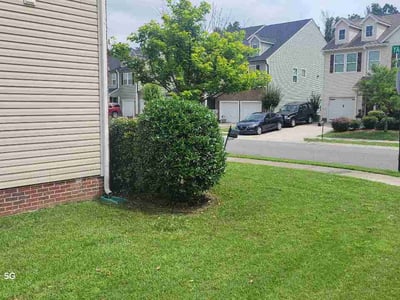 Lawn Care service in Rock Hill, 29730