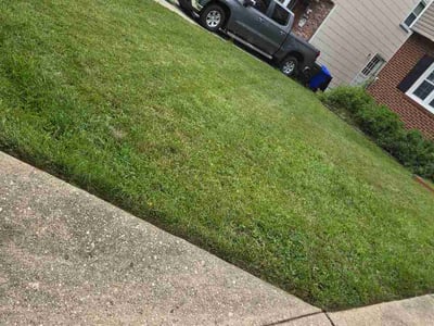 Lawn Care service in College Park, 20742