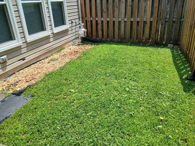Lawn Care service in Lorton, 22079