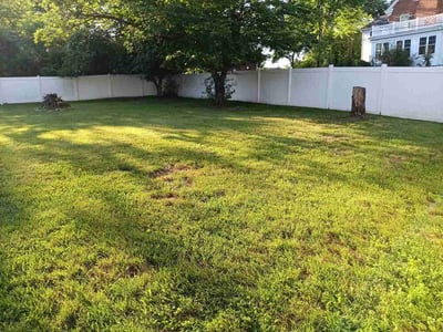 Lawn Care service in Lorton, 22079