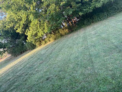 Lawn Care service in Danville, 24541