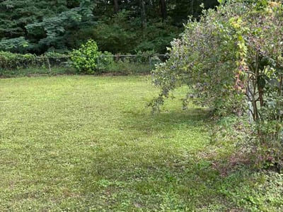 Lawn Care service in Opelika, 36801