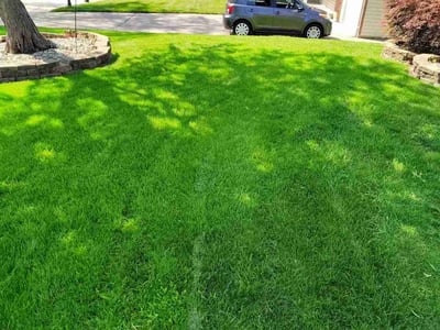 Lawn Care service in ,