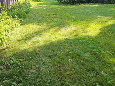 Lawn Care service in Hartford, 53027