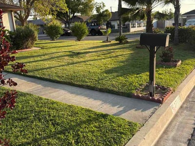 Lawn Care service in Loma Linda, 92354