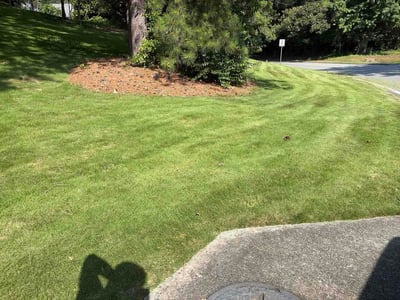 Lawn Care service in Stoneham, 02180