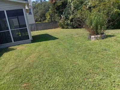 Lawn Care service in Mount Pleasant, 29464