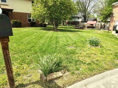 Lawn Care service in Belleville, 62220
